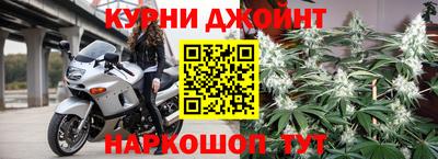 шишки Балашиха